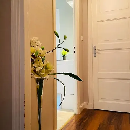 Charming 3-bedroom In The Heart Of Apartment Tours