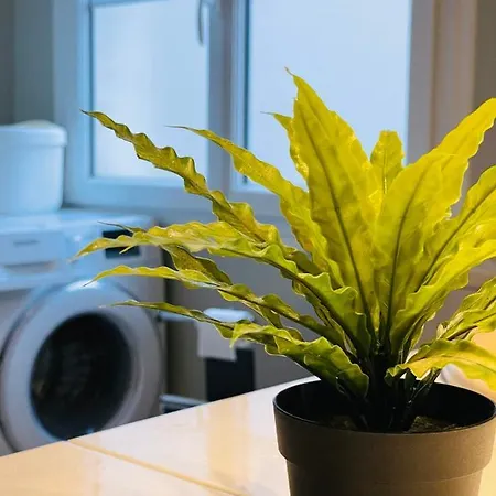 Apartment Charming 3-bedroom In The Heart Of